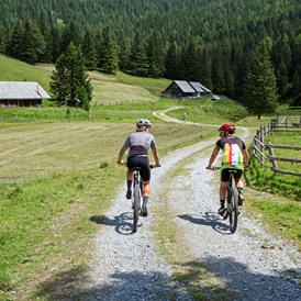 Urlaub-mit-Hund: Radtouren im Murtal in der Steiermark - Sloho Bergurlaub