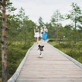 Urlaub-mit-Hund: Urlaub mit Hund  - Sloho Bergurlaub