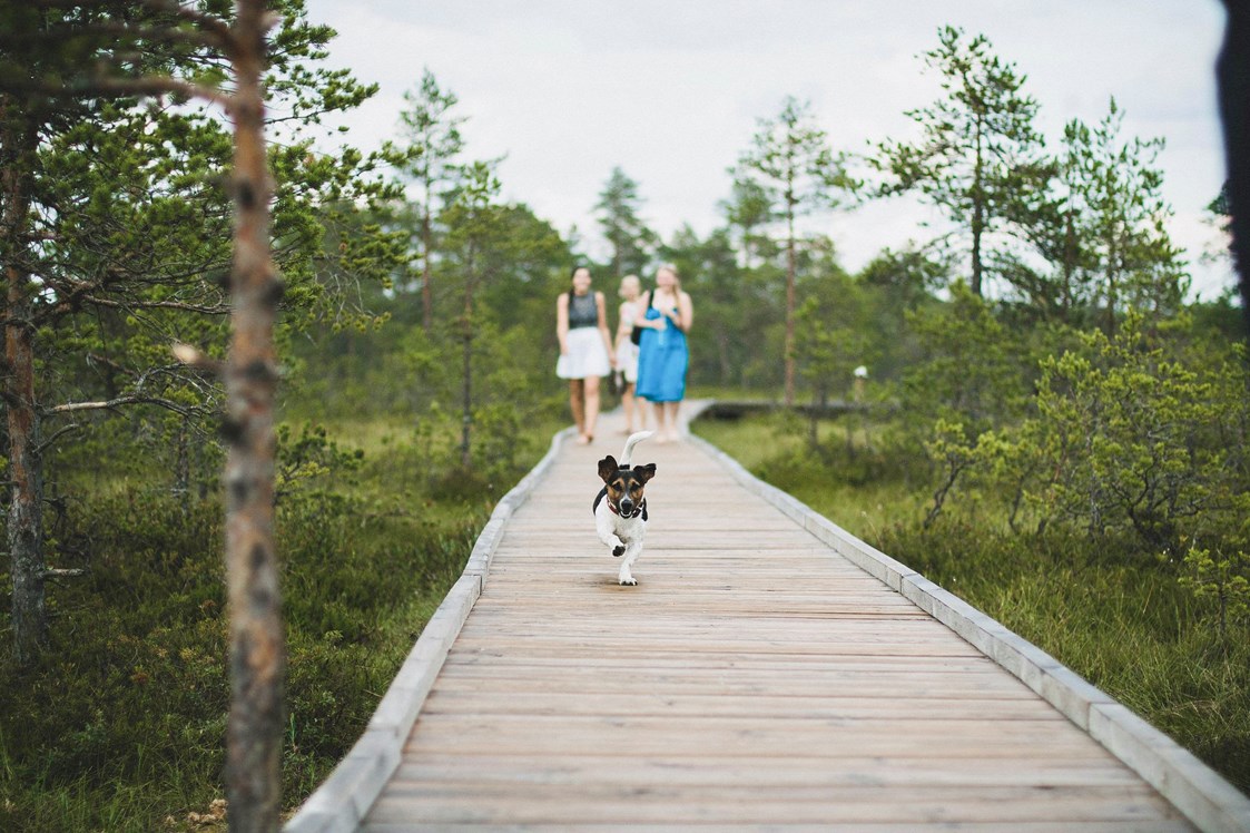 Urlaub-mit-Hund: Urlaub mit Hund  - Sloho Bergurlaub