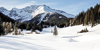 Hundehotel - Tauplitz - Winteridylle in Hohentauern - Sloho Bergurlaub