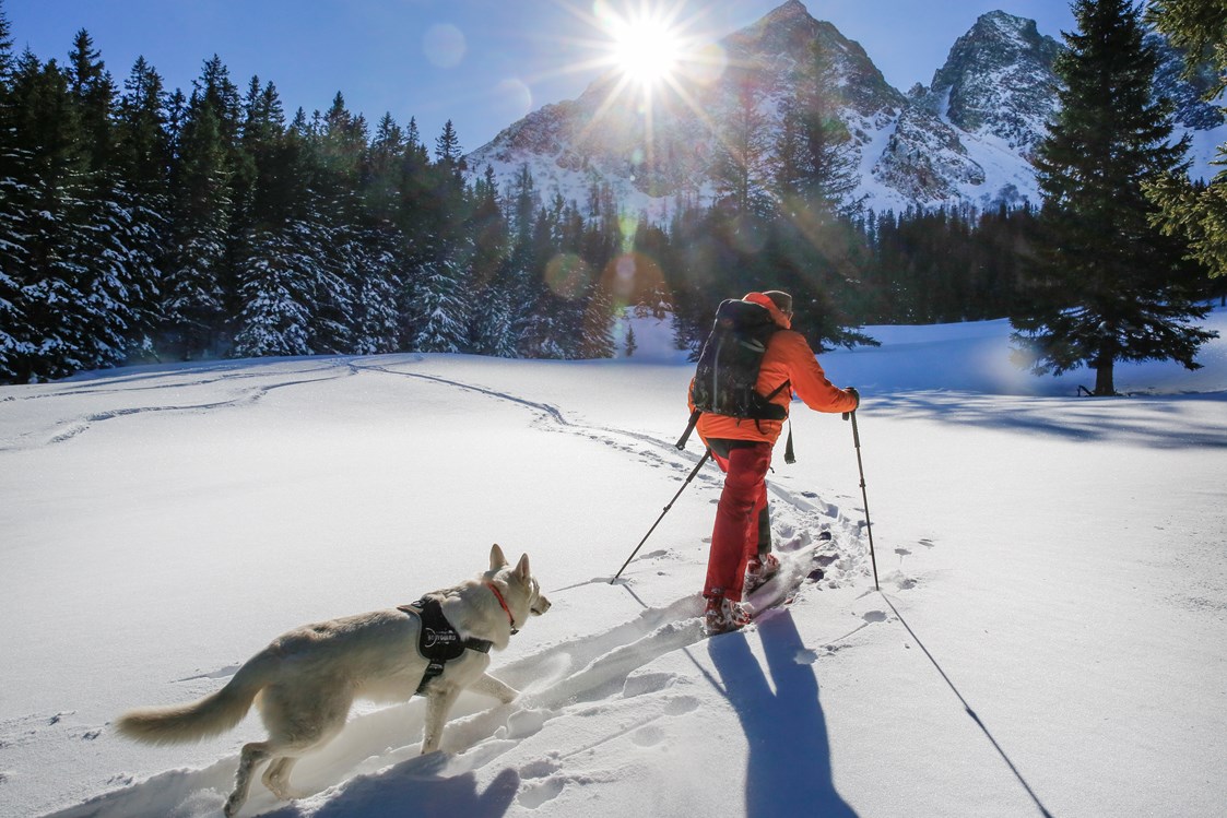 Urlaub-mit-Hund: Skitouren mit Hund - Sloho Bergurlaub