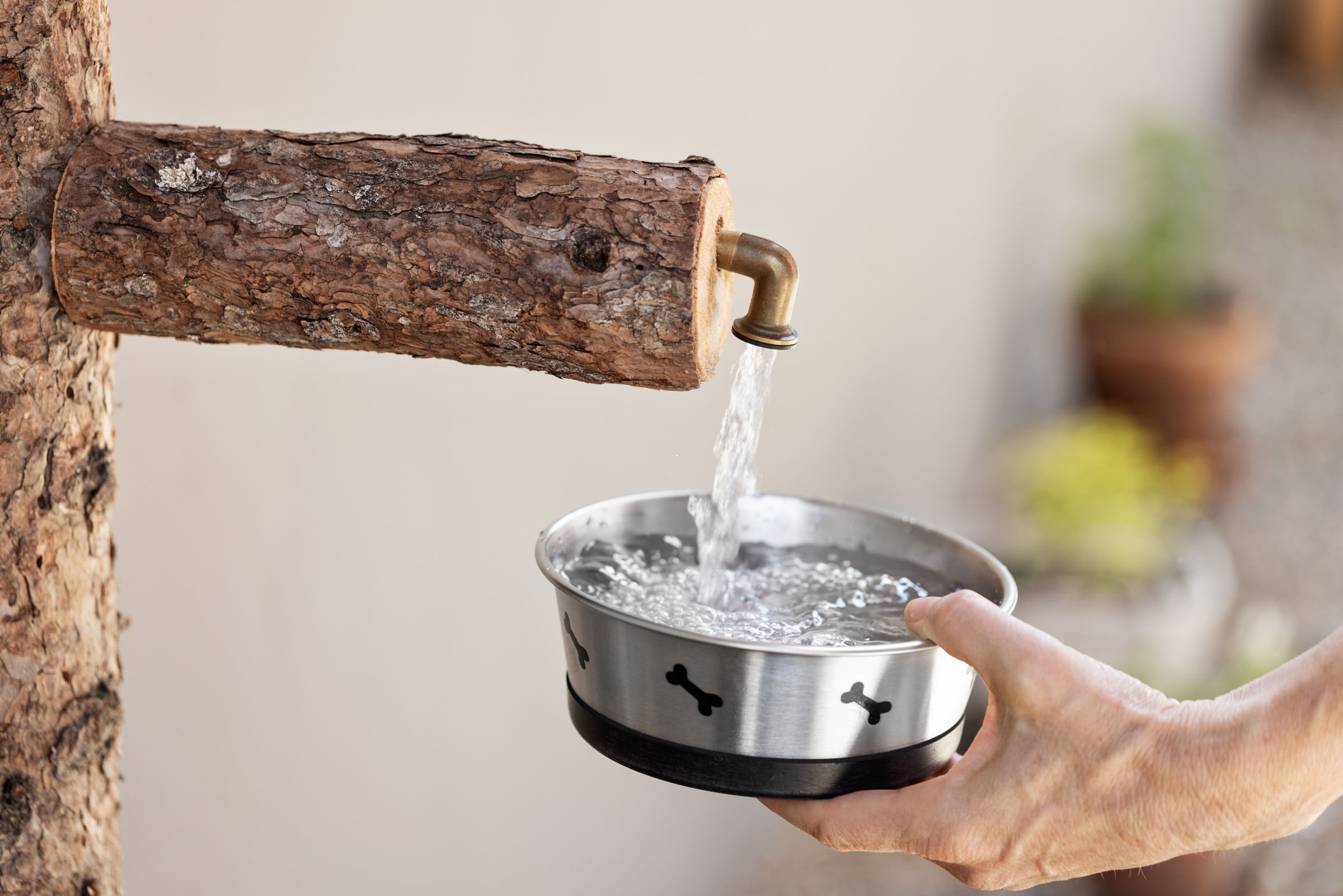 Urlaub-mit-Hund: Sloho Bergurlaub mit Hund  - Sloho Bergurlaub