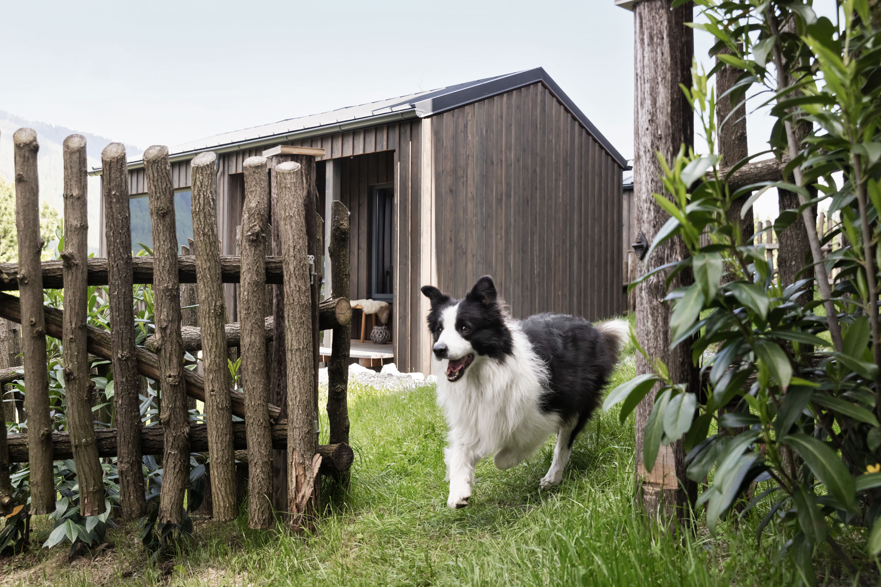 Urlaub-mit-Hund: Urlaub mit Hund im Sloho - Sloho Bergurlaub