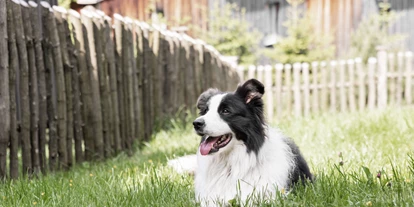 Hundehotel - Tauplitz - Urlaub mit Hund im Sloho - Sloho Bergurlaub