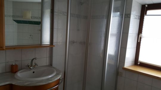 Ferienhaus mit Hund: Meissnitzerhof