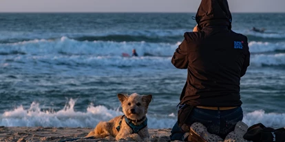 Hundehotel - Unterkunftsart: Appartement - Peenemünde - Hundestrand - Hotel Friesenhof auf Usedom
