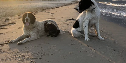 Hundehotel - Unterkunftsart: Appartement - Peenemünde - Hundestrand - Hotel Friesenhof auf Usedom