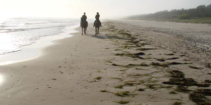 Hundehotel - Unterkunftsart: Appartement - Peenemünde - Reiten am Strand - Hotel Friesenhof auf Usedom