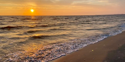 Hundehotel - Unterkunftsart: Appartement - Peenemünde - Strand Trassenheide - Hotel Friesenhof auf Usedom