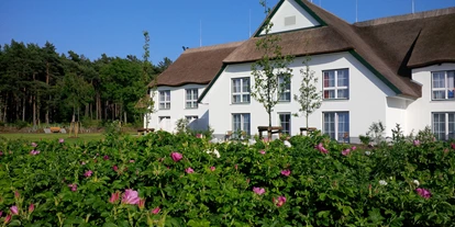 Hundehotel - Unterkunftsart: Appartement - Peenemünde - Hotel Friesenhof - Hotel Friesenhof auf Usedom
