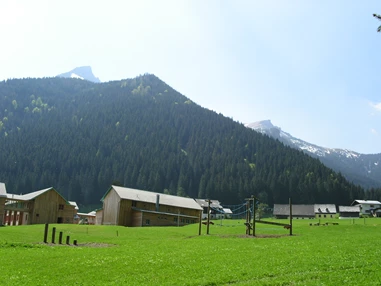 Urlaub-mit-Hund: JUFA Hotel Eisenerz – Almerlebnis***