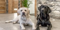 Hundehotel - Pools: Innenpool - Jack & Rocco - Adults Only - Mühle Resort 1900