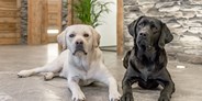Hundehotel - PLZ 6432 (Österreich) - Jack & Rocco - Adults Only - Mühle Resort 1900