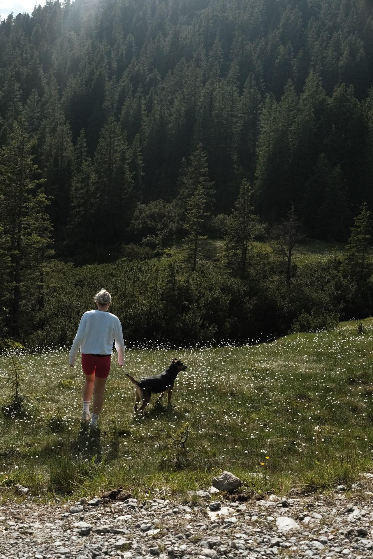 Hotel BergBaur  Ausflüge mit Hund 