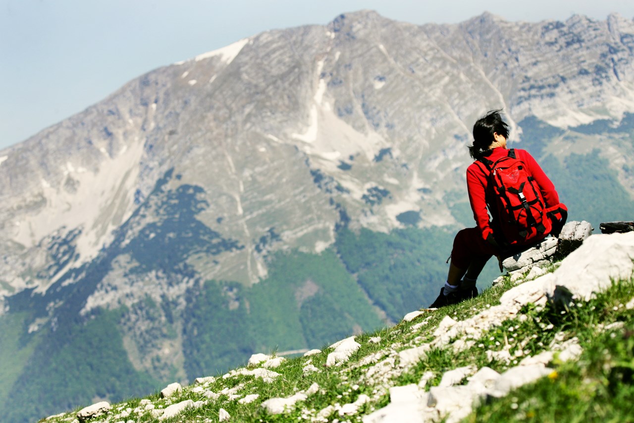 JUFA Hotel Erlaufsee Ausflüge mit Hund Gemeindealpe