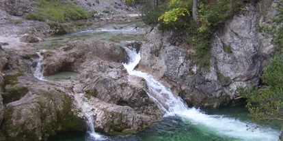 Hundehotel - Hallenbad - Mariazell - JUFA Hotel Erlaufsee
