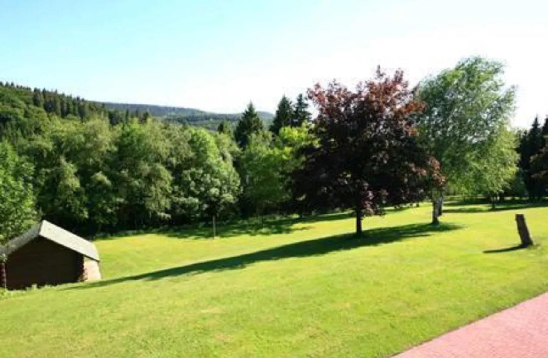 Hundehotel - Bad Wildungen - Landhaus Schlossberg 8  Ferienwohnungen