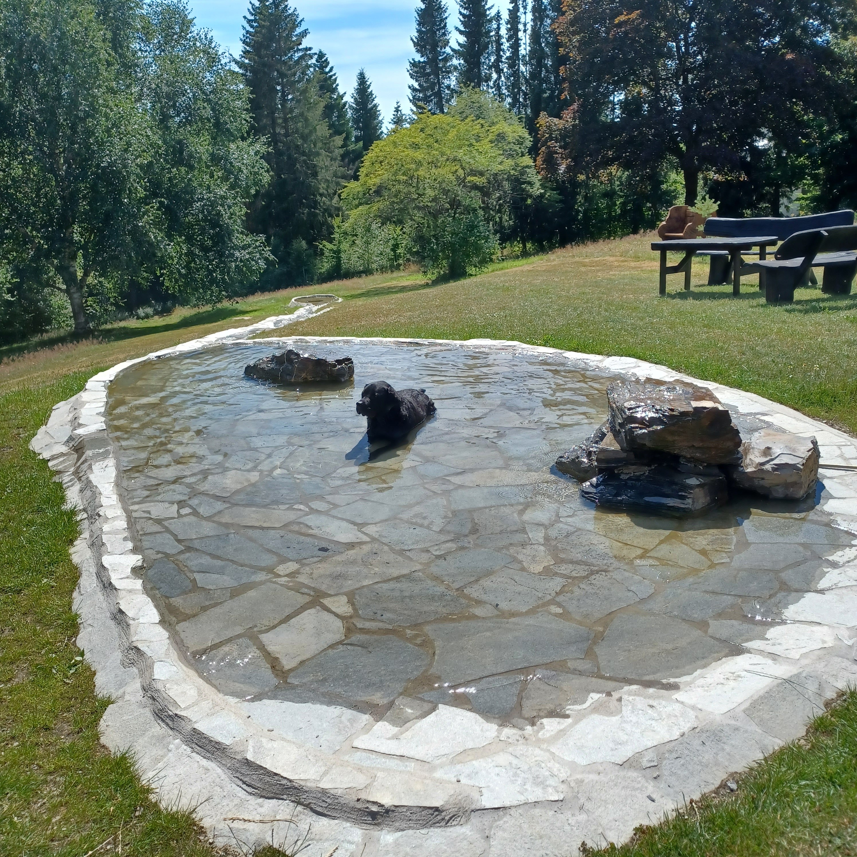 Hundehotel - Bad Wildungen - Landhaus Schlossberg 8  Ferienwohnungen