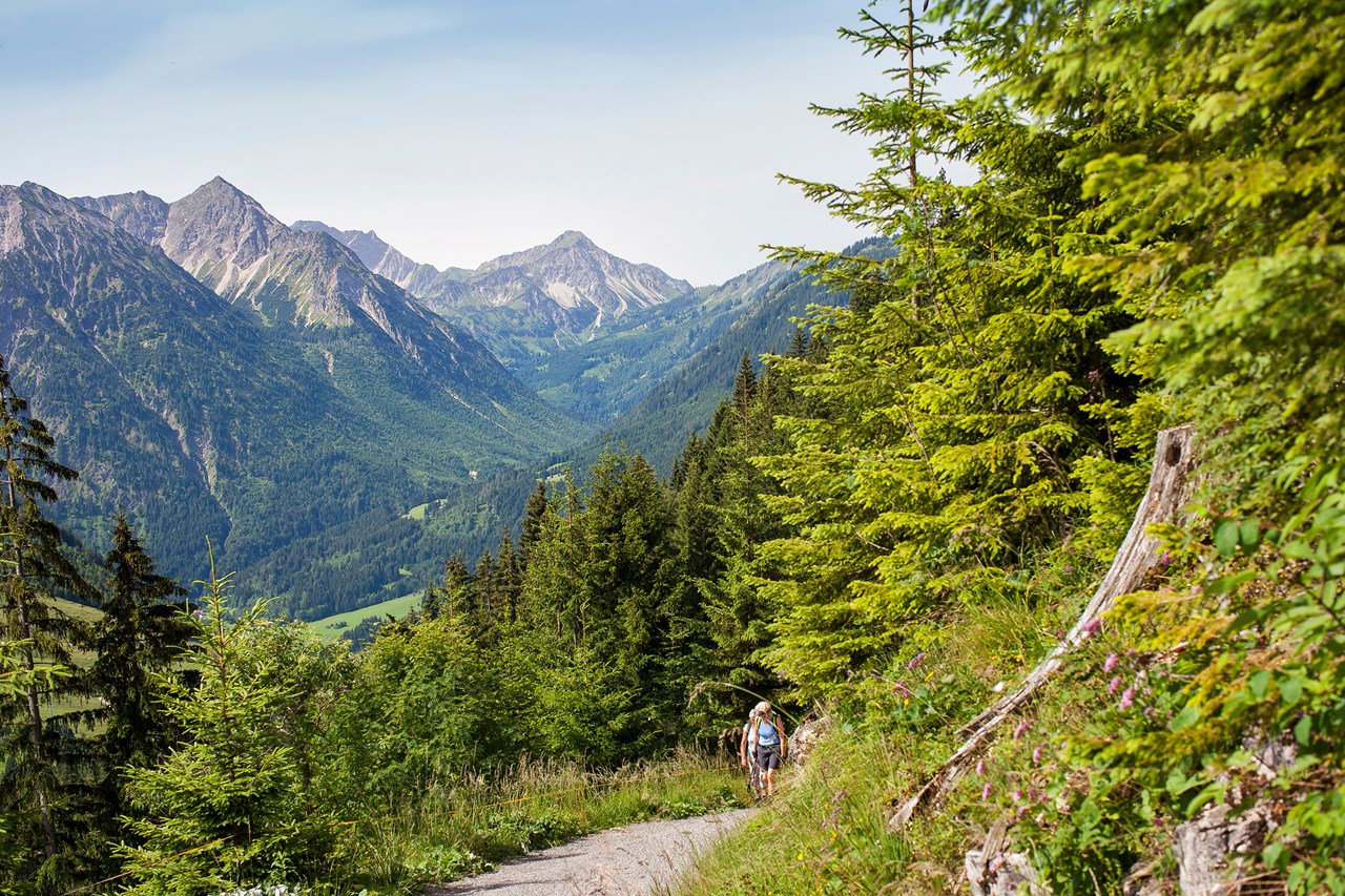 Alpin Chalets Panoramahotel Oberjoch Ausflüge mit Hund Wanderung zur Hirschalpe