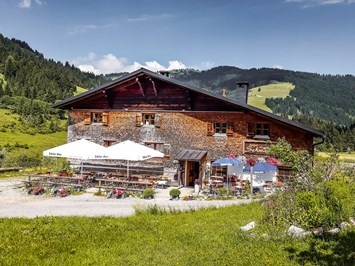 Alpin Chalets Panoramahotel Oberjoch Ausflugsziele Alpe Untere Schwande