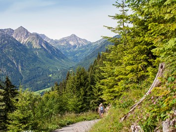 Alpin Lodges Oberjoch Ausflüge mit Hund Wanderung zur Hirschalpe