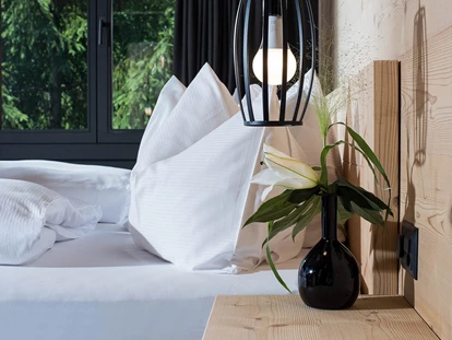 Hundehotel - WLAN - Saanenmöser - Hotelzimmer - Arc-en-ciel Gstaad