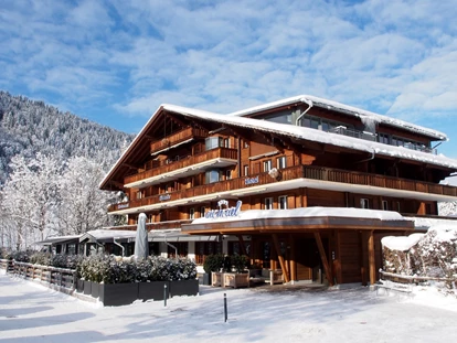 Hundehotel - WLAN - Saanenmöser - Arc-en-ciel Gstaad