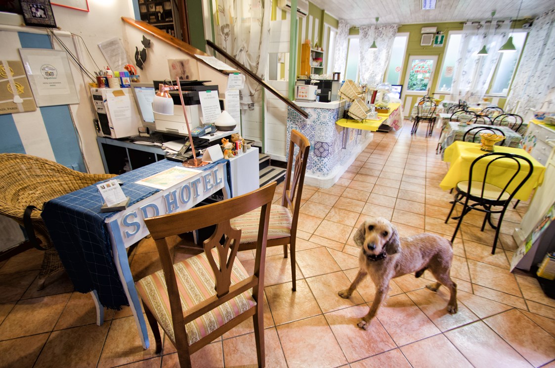 Urlaub-mit-Hund: Hotel San Desiderio - Rapallo - Italien