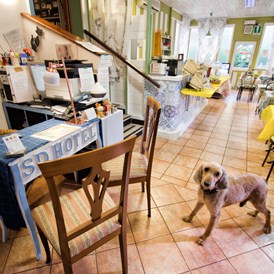 Urlaub-mit-Hund: Hotel San Desiderio - Rapallo - Italien