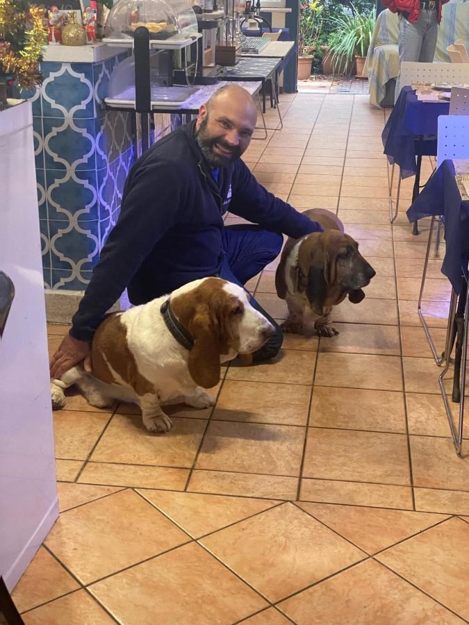 Urlaub-mit-Hund: Marco  mit den Bassethounds Zoe und Poldo - Hotel San Desiderio - Rapallo - Italien
