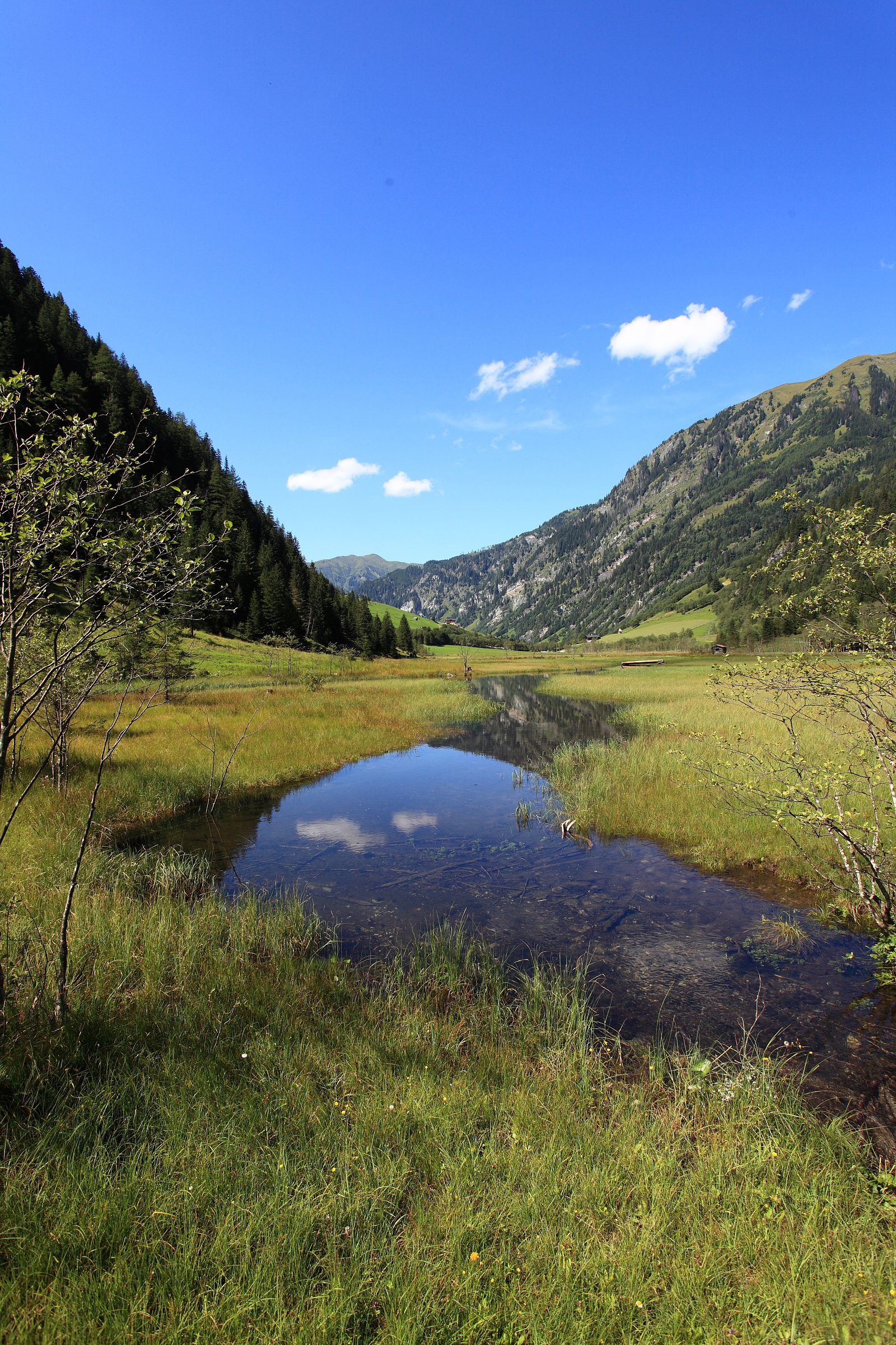 Boutique Hundehotel Bergzeit Ausflüge mit Hund Talschluss in Hüttschlag