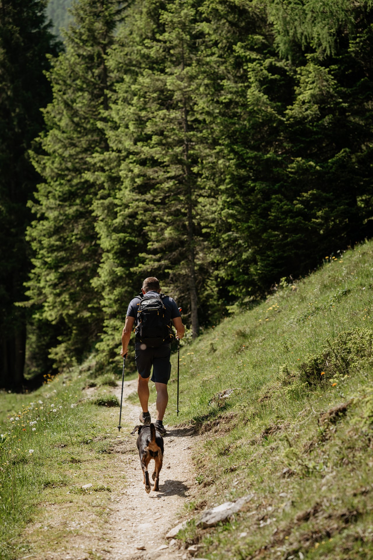 Boutique Hundehotel Bergzeit Ausflüge mit Hund Wanderung zur Loosbühelalm 