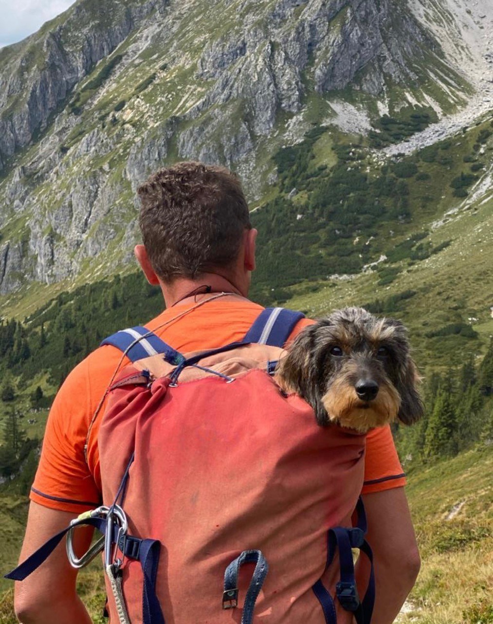 Boutique Hundehotel Bergzeit Ausflugsziele Ötzlsee