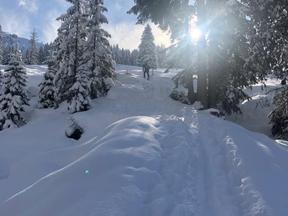 Hundehotel - WLAN - Berchtesgaden - Traumhafte Winterwanderungen - Boutique Hundehotel Bergzeit