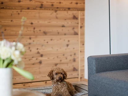 Hundehotel - WLAN - Berchtesgaden - Boutique Hundehotel Bergzeit