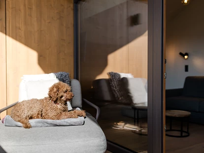 Hundehotel - WLAN - Berchtesgaden - Boutique Hundehotel Bergzeit