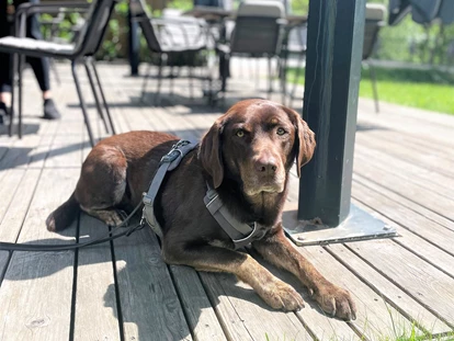 Hundehotel - WLAN - Berchtesgaden - Boutique Hundehotel Bergzeit