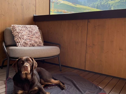 Hundehotel - WLAN - Berchtesgaden - Boutique Hundehotel Bergzeit