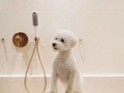 Hundehotel - WLAN - Berchtesgaden - Fellness - Boutique Hundehotel Bergzeit