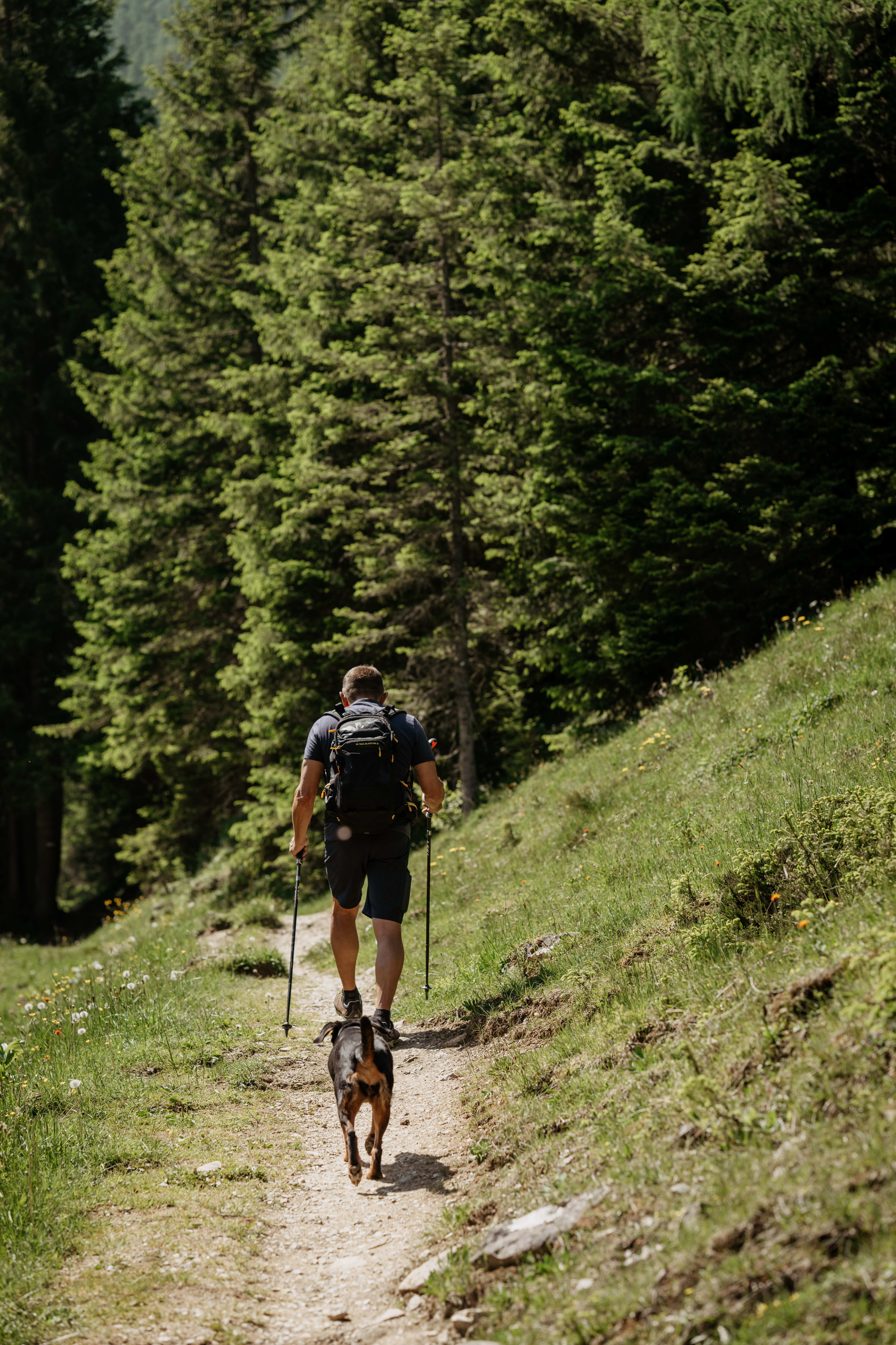 Urlaub-mit-Hund: Hundewanderung mit Wanderführer Charly - Boutique Hundehotel Bergzeit - Urlaub mit Hund