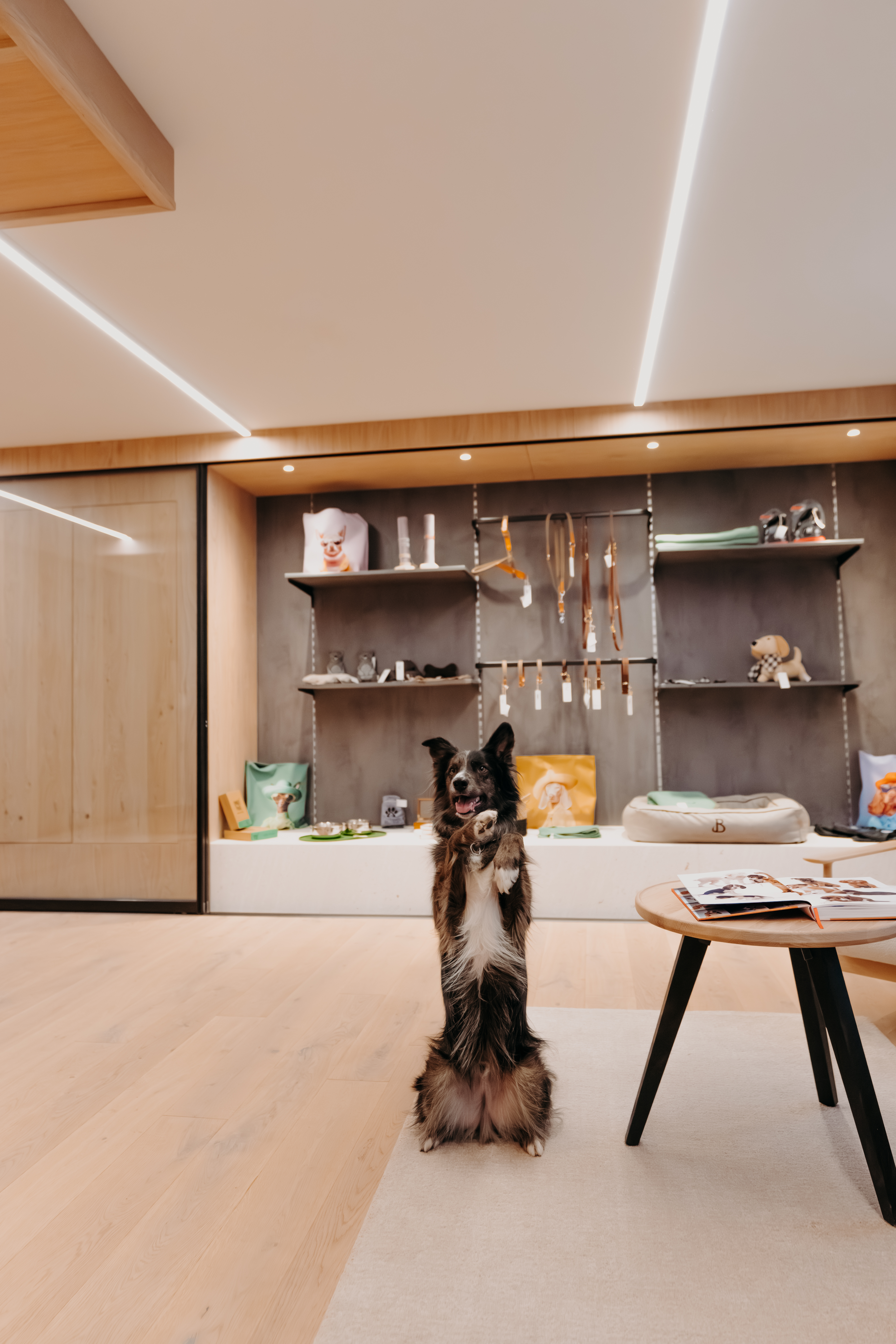 Urlaub-mit-Hund: Hunde Boutique - Boutique Hundehotel Bergzeit - Haus | Umgebung