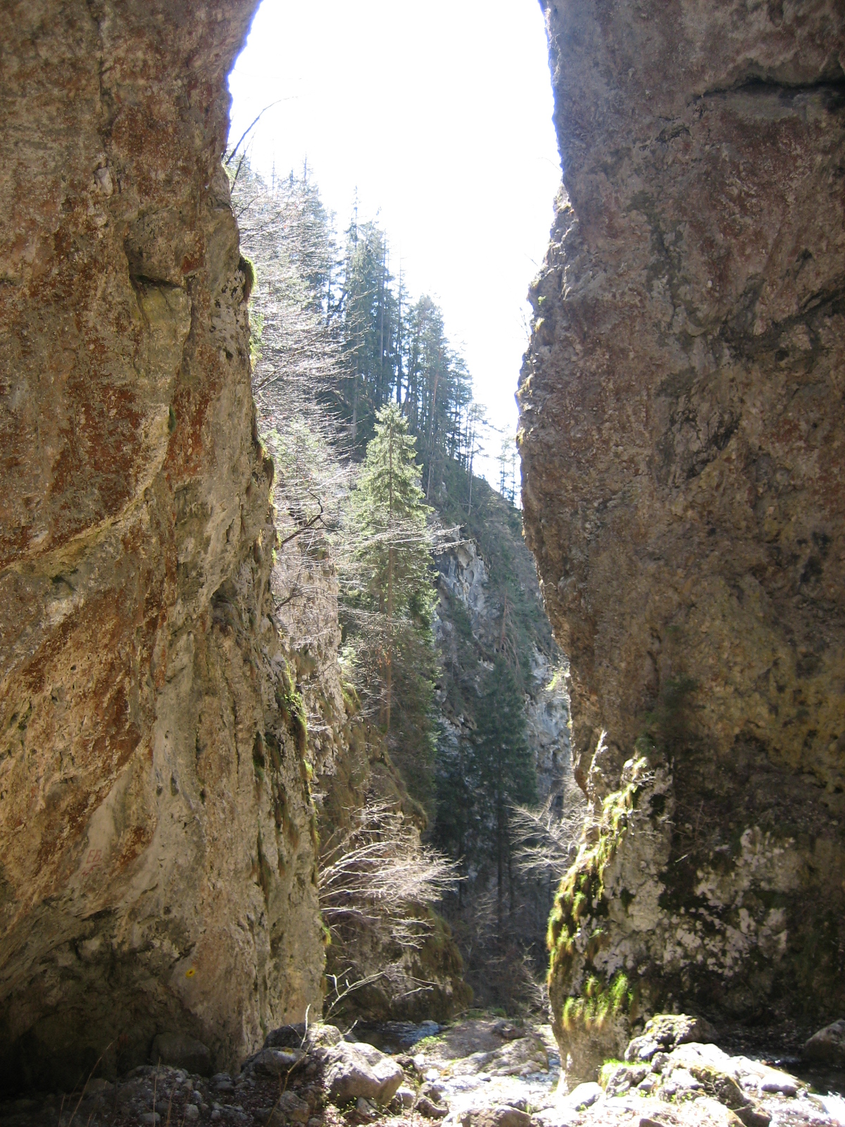 JUFA Hotel Gitschtal*** Ausflüge mit Hund Weißenbachklamm