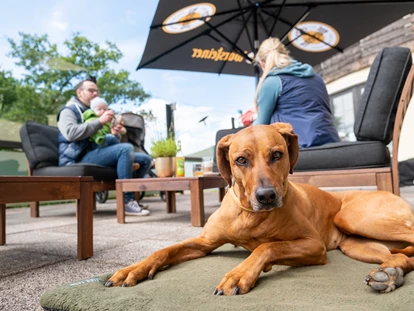 Hundehotel - Preisniveau: moderat - Bad Gandersheim - Sonnenterrasse mit Hund und Familie  - Der WOLFSHOF