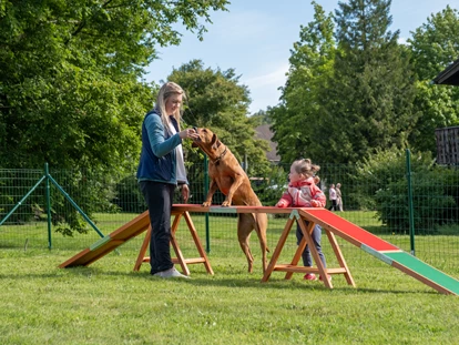 Hundehotel - Preisniveau: moderat - Bad Gandersheim - Agility Parcour mit Hund - Der WOLFSHOF