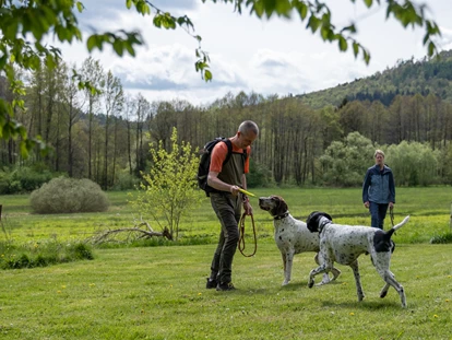 Hundehotel - Preisniveau: moderat - Bad Gandersheim - Hundewiese mit Hunden  - Der WOLFSHOF