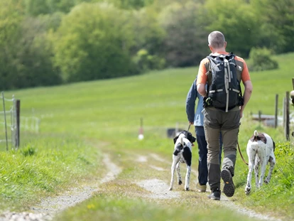 Hundehotel - Preisniveau: moderat - Bad Gandersheim - Wanderungen ab dem Hotel mit Grünfläche und Hunden  - Der WOLFSHOF