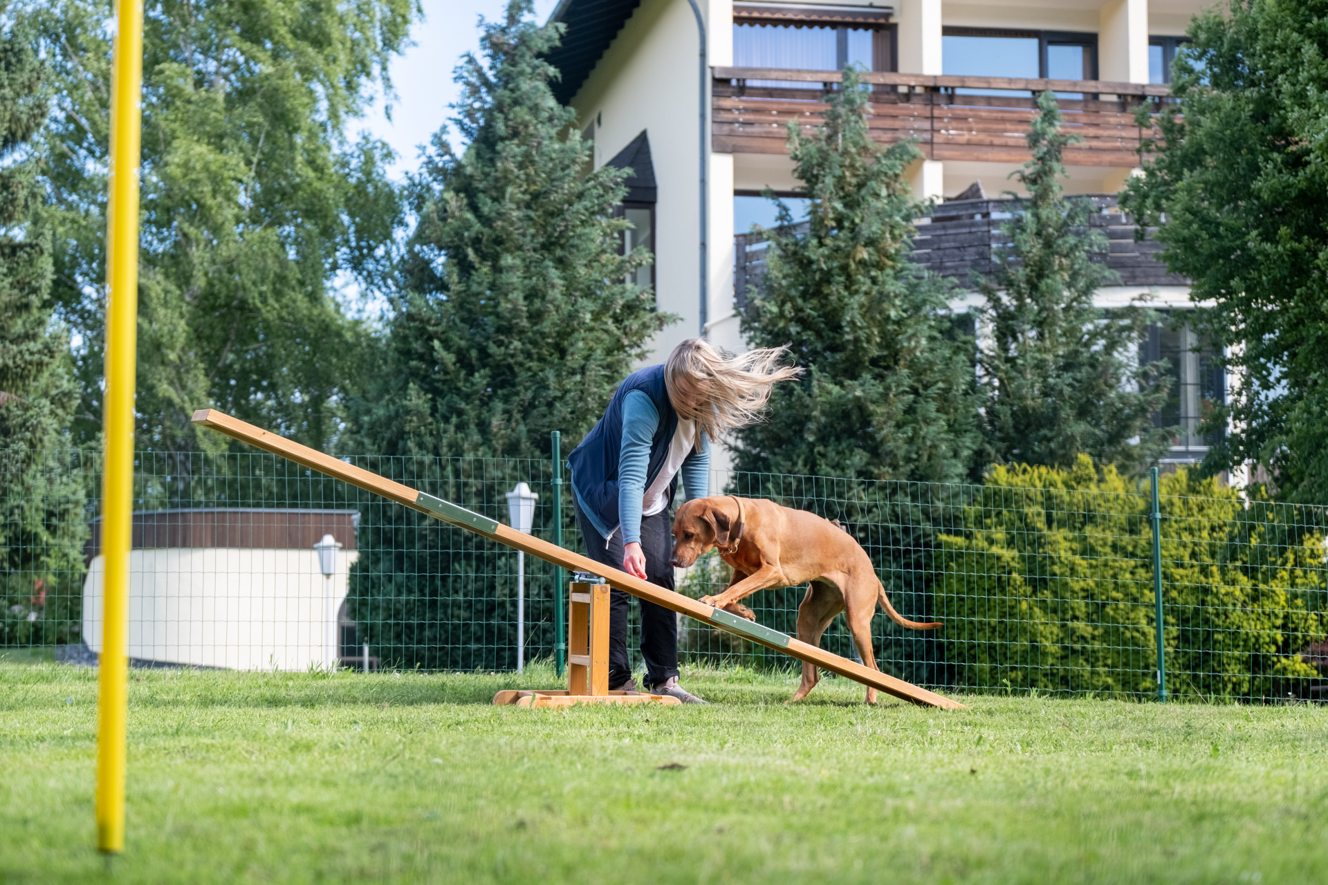 Urlaub-mit-Hund: Agility Parcour mit Hund  - Der WOLFSHOF