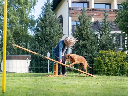 Hundehotel - Preisniveau: moderat - Bad Gandersheim - Agility Parcour mit Hund  - Der WOLFSHOF