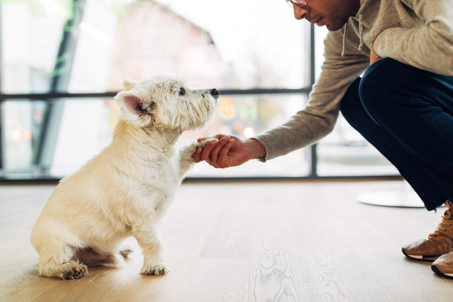 Hundehotel - Hund im Restaurant erlaubt - Sonthofen - harry’s home Dornbirn