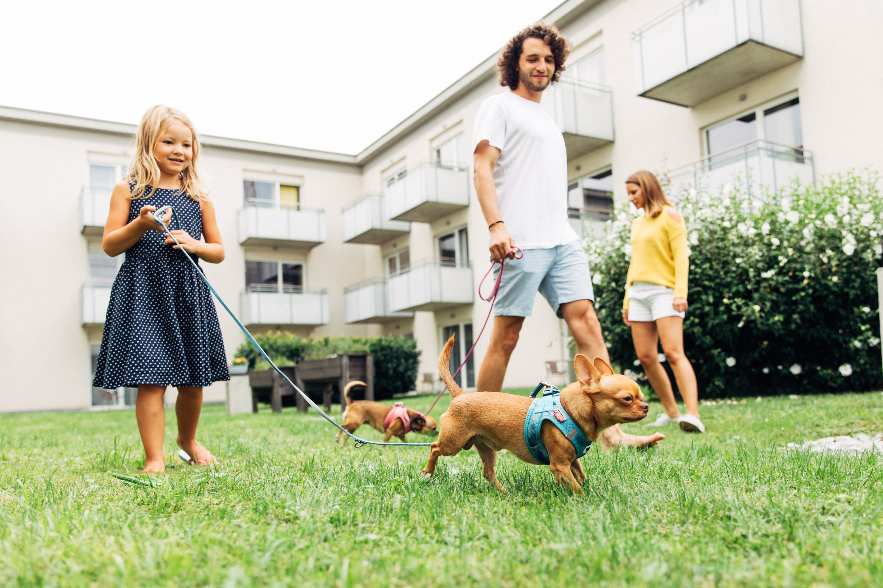 Hundehotel - Hund im Restaurant erlaubt - Sonthofen - harry’s home Dornbirn